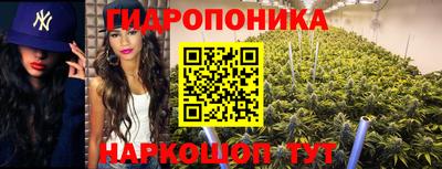 скорость Будённовск