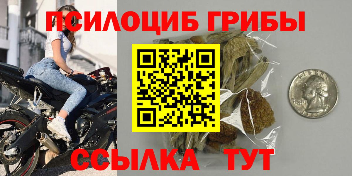 Архангельск  Галлюциногенные грибы Psilocybine cubensis  Вход с VPN 