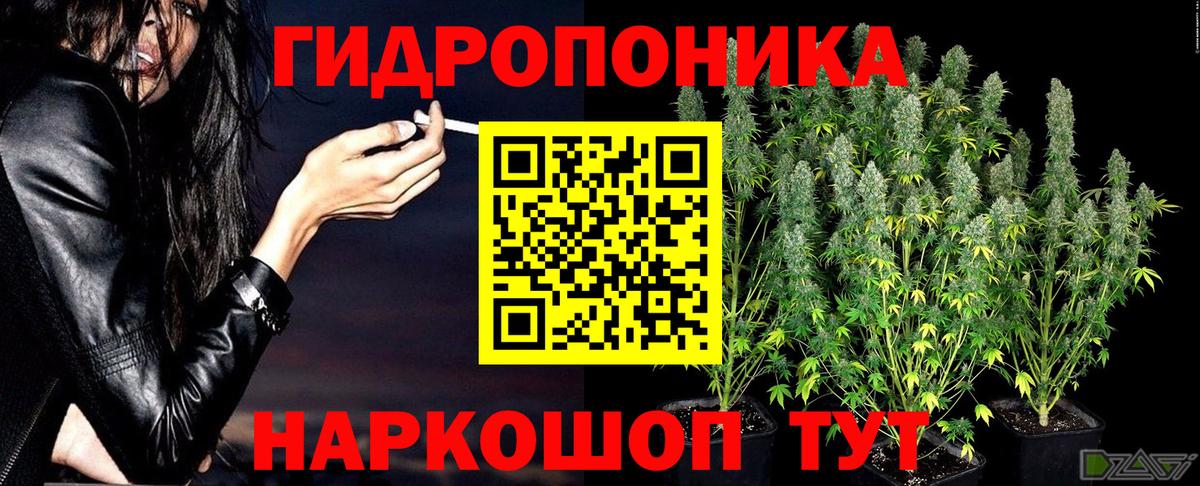 Конопля ГИДРОПОН  Конопля конопля  Архангельск  Вход с VPN 